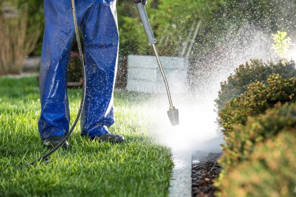 Curb Cleaning in Clearwater