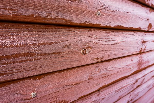 Cedar Siding Cleaning in Clearwater