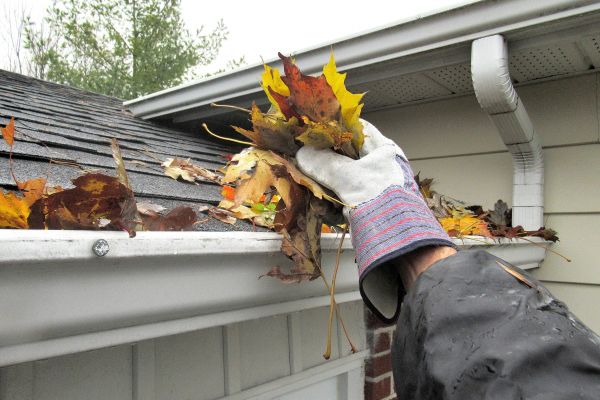 Eaves Cleaning in Clearwater