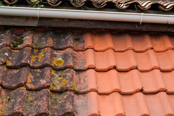 Industrial Roof Cleaning in Clearwater